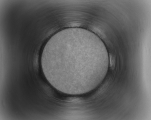 X0000089730300200707201847