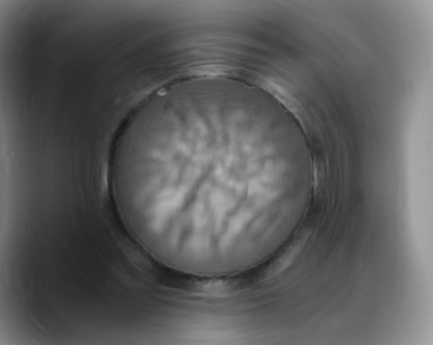 X0000089730301200707201847