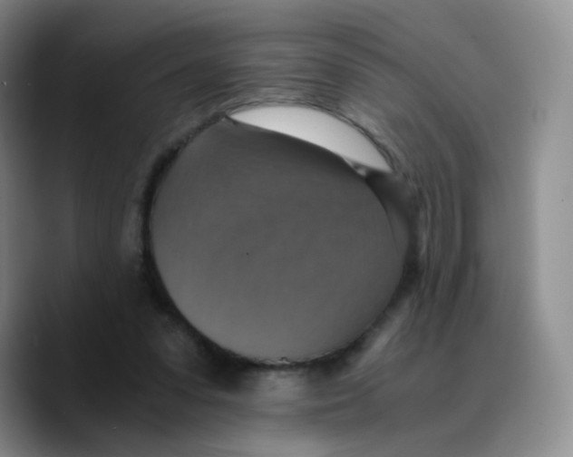 X0000089730303200707201847
