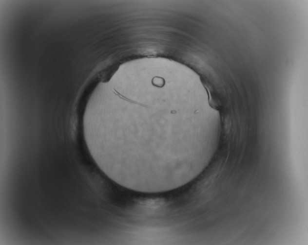 X0000089730304200707201847
