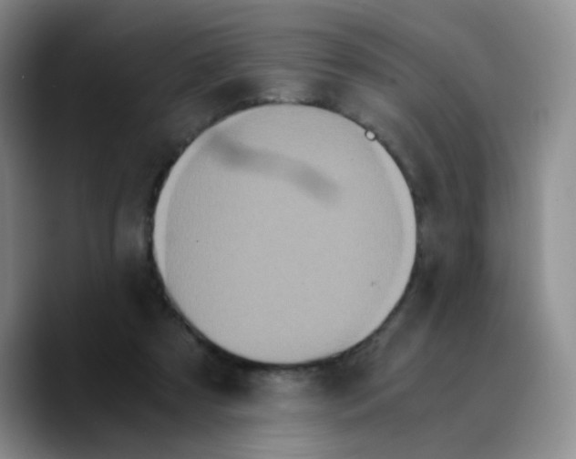 X0000089730305200707201847