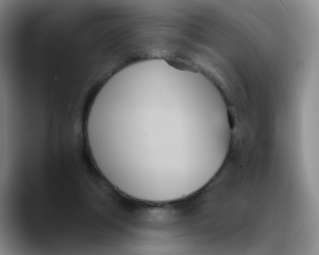 X0000089730306200707201847
