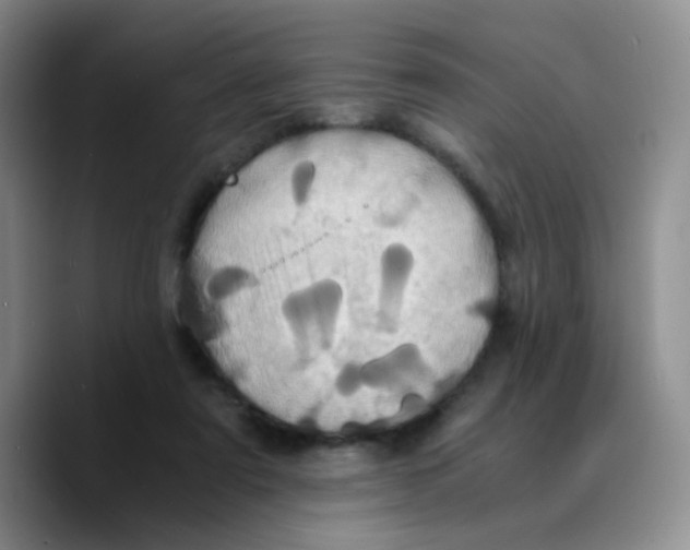 X0000089730307200707201847