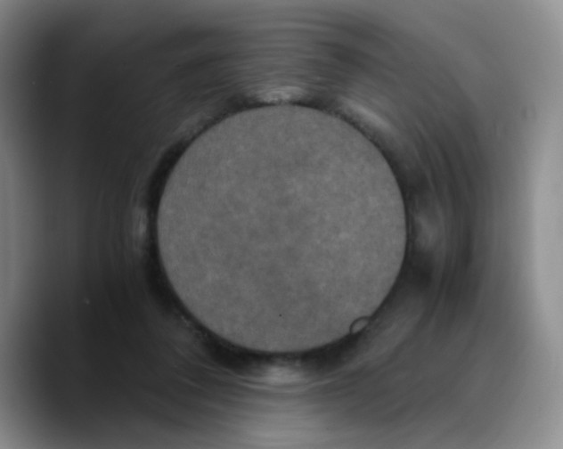 X0000089730308200707201846