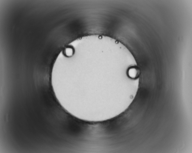 X0000089730309200707201846