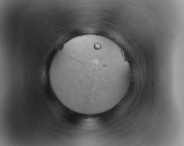 X0000089730312200707201846