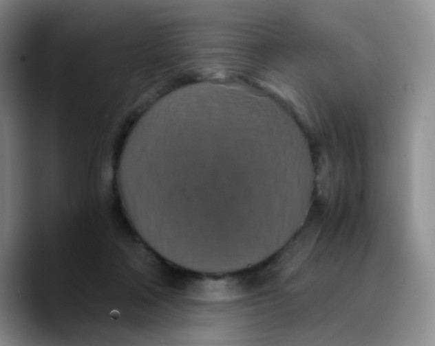 X0000089730314200707201846