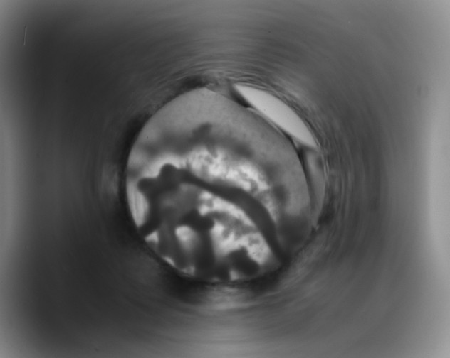 X0000089730315200707201846