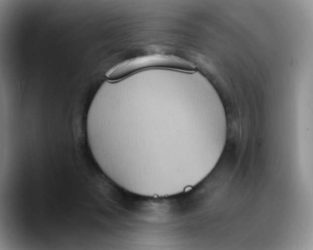 X0000089730317200707201846