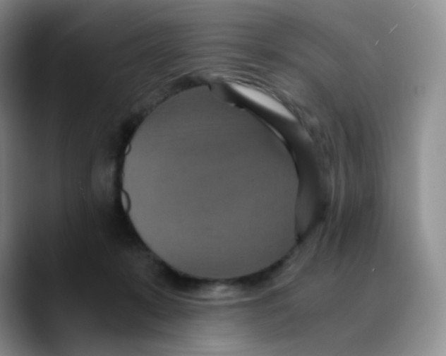 X0000089730319200707201846