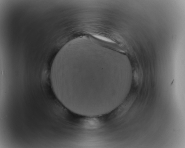 X0000089730322200707201846