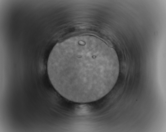 X0000089730324200707201846