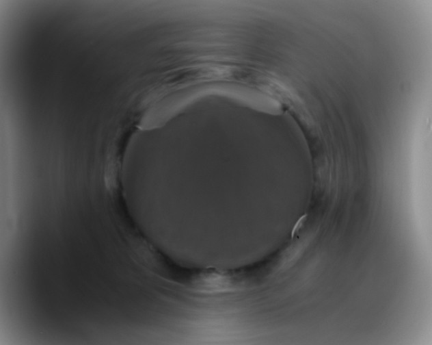 X0000089730325200707201846