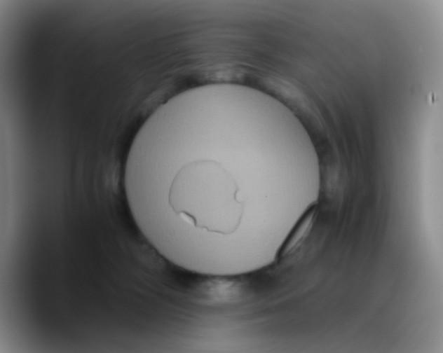 X0000089730326200707201846