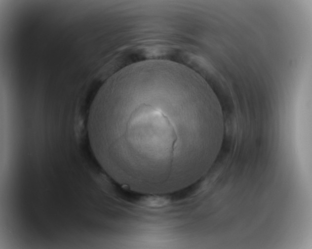 X0000089730327200707201846