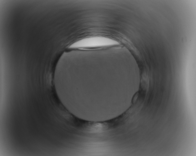 X0000089730330200707201846