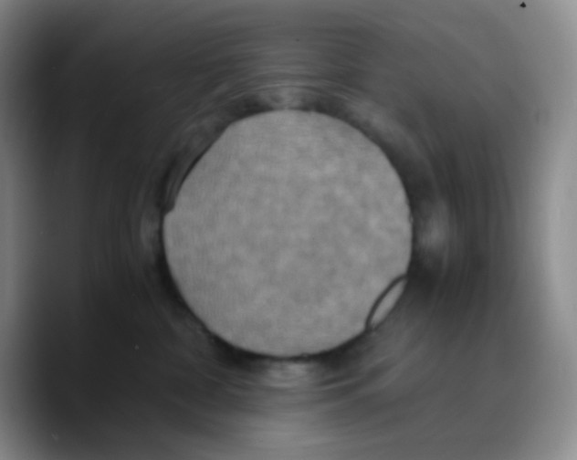 X0000089730332200707201846