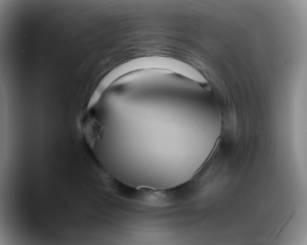 X0000089730333200707201846