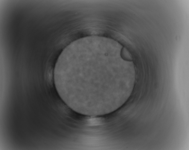 X0000089730336200707201846