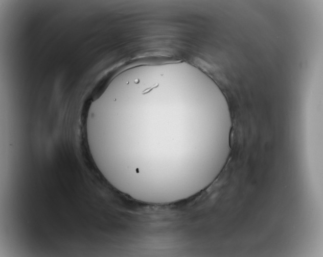 X0000089730338200707201846