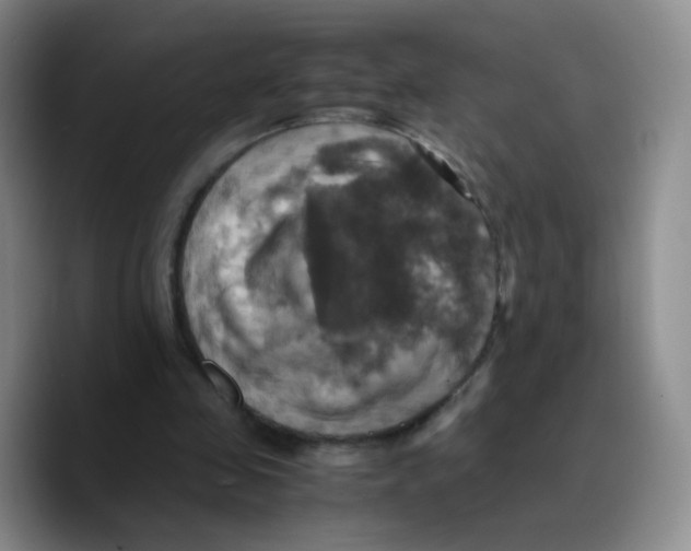 X0000089730341200707201846