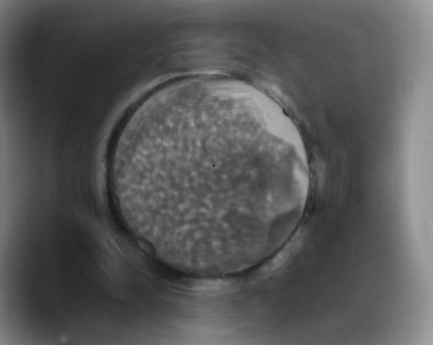 X0000089730342200707201846