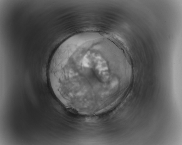 X0000089730345200707201846