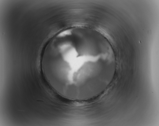 X0000089730346200707201846