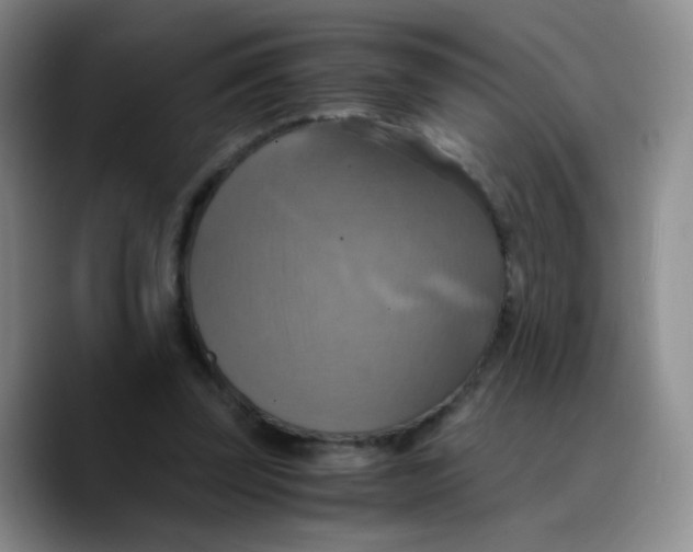 X0000089730347200707201846