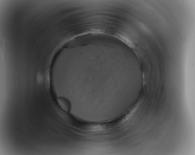X0000089730349200707201846