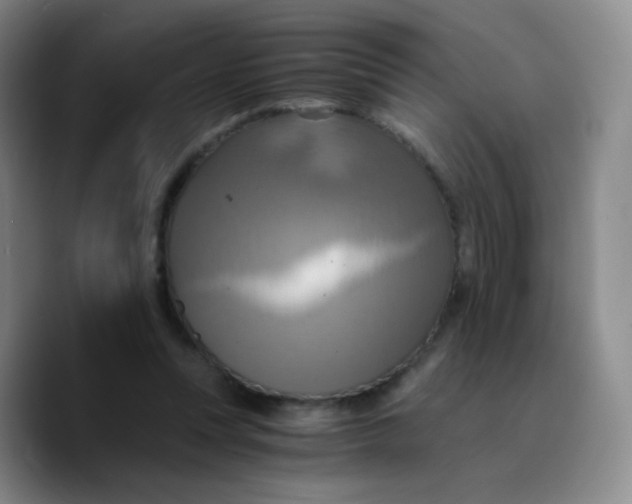 X0000089730351200707201846