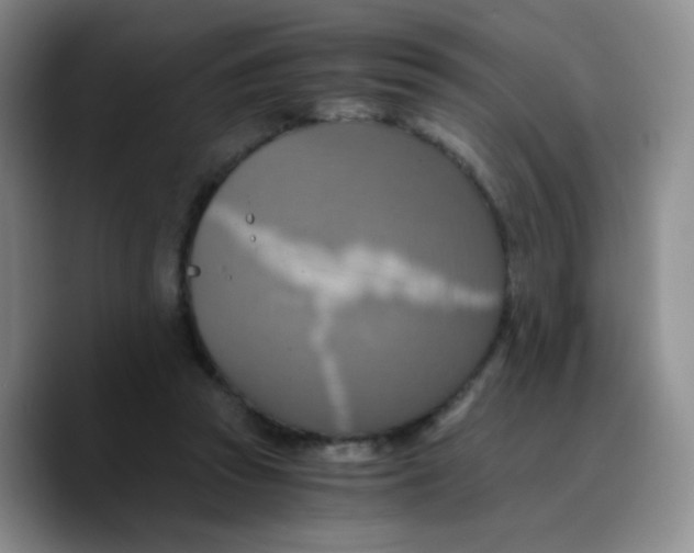X0000089730353200707201846