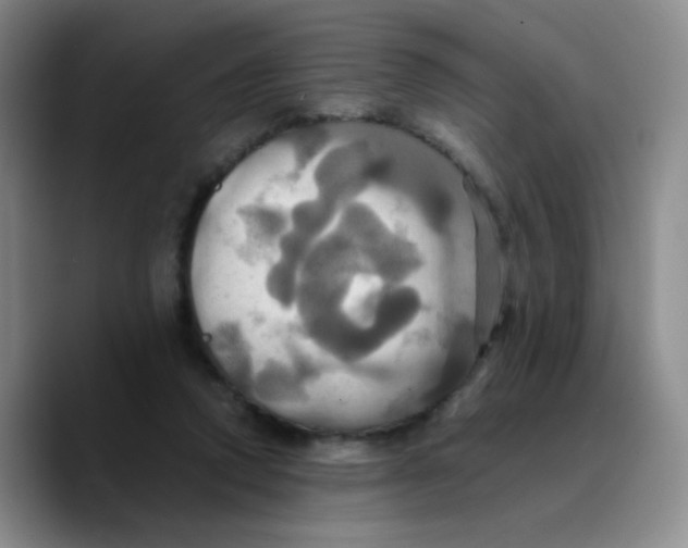X0000089730354200707201846