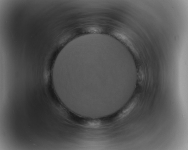 X0000089730355200707201846