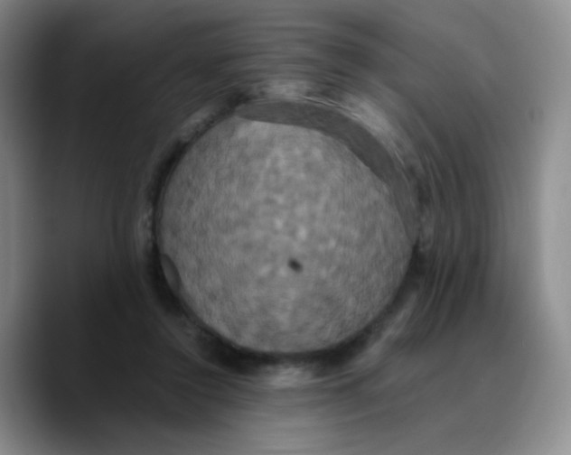 X0000089730356200707201846
