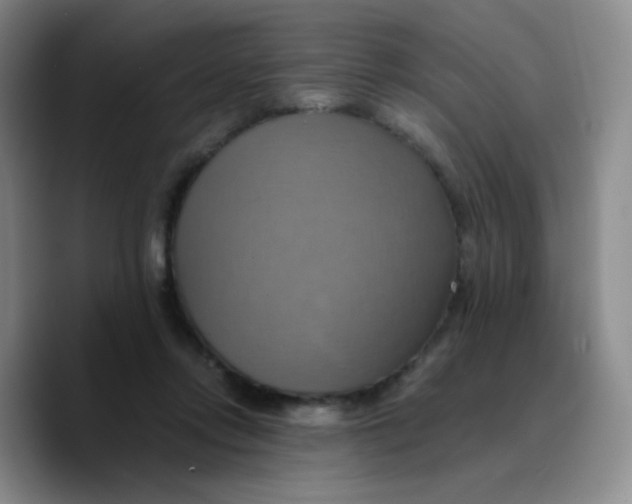 X0000089730358200707201846