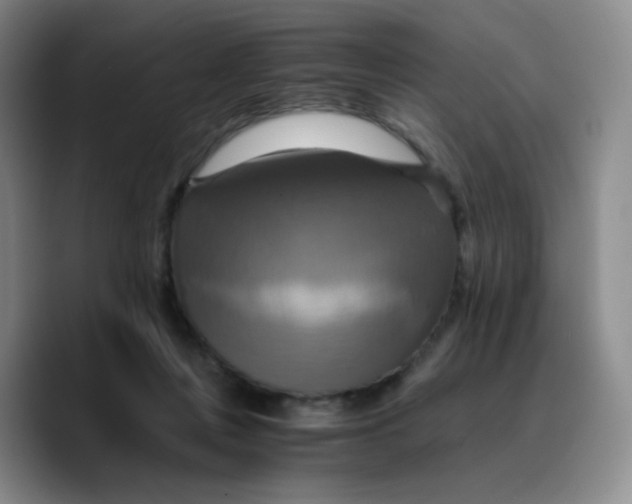 X0000089730359200707201846