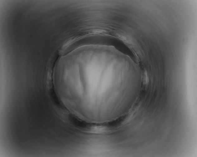X0000089730360200707201846