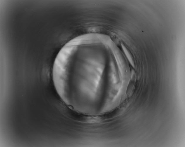 X0000089730363200707201846