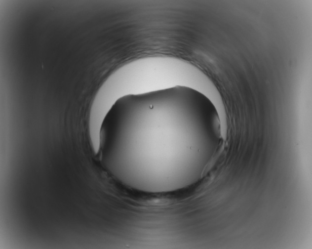 X0000089730364200707201846