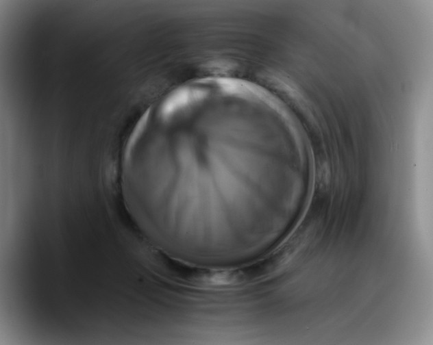 X0000089730365200707201846
