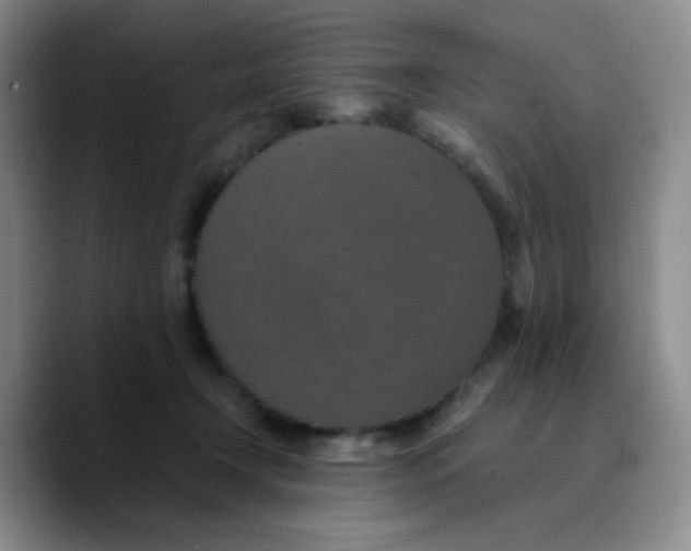 X0000089730366200707201846