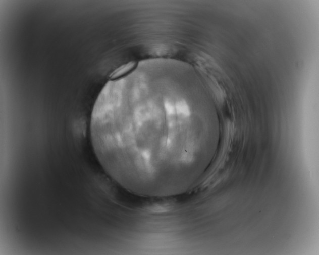X0000089730368200707201846