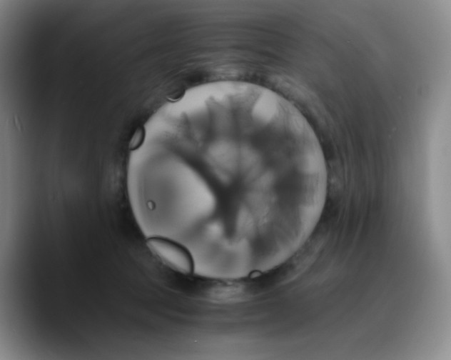 X0000089730369200707201846