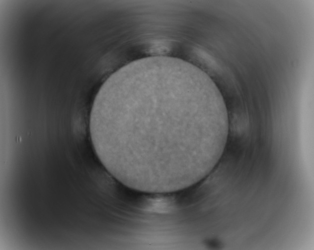 X0000089730370200707201846
