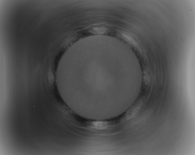 X0000089730371200707201846