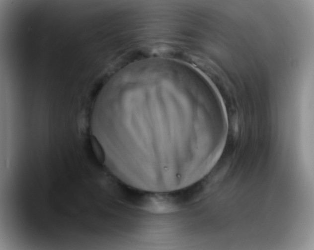 X0000089730372200707201846