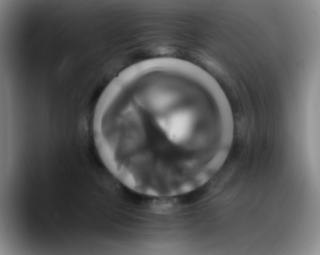 X0000089730373200707201846
