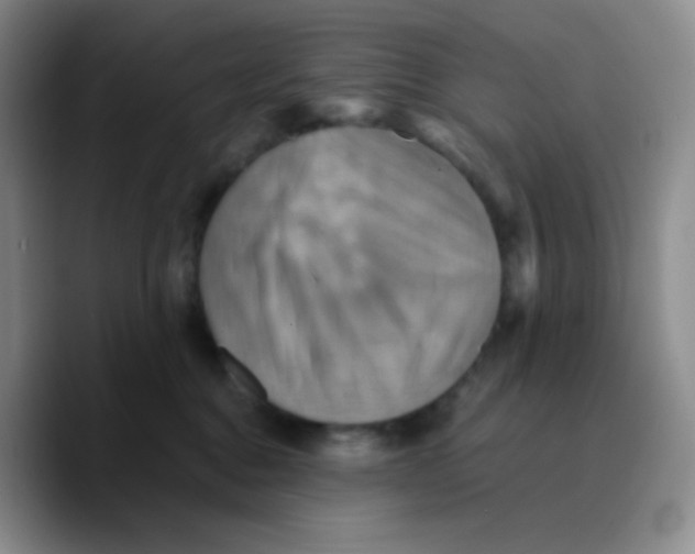 X0000089730376200707201846