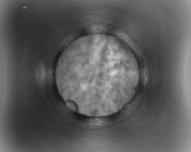 X0000089730378200707201846